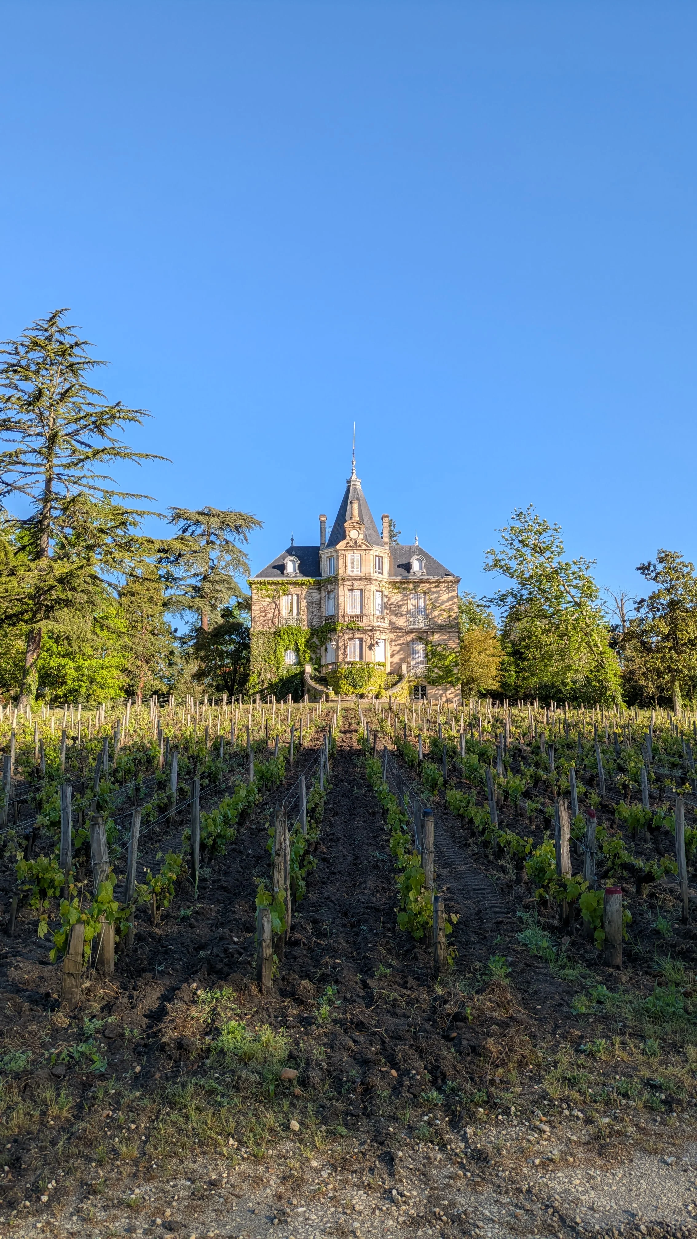 Château Les Carmes Haut-Brion Pessac-Léognan 2022 - Image 3