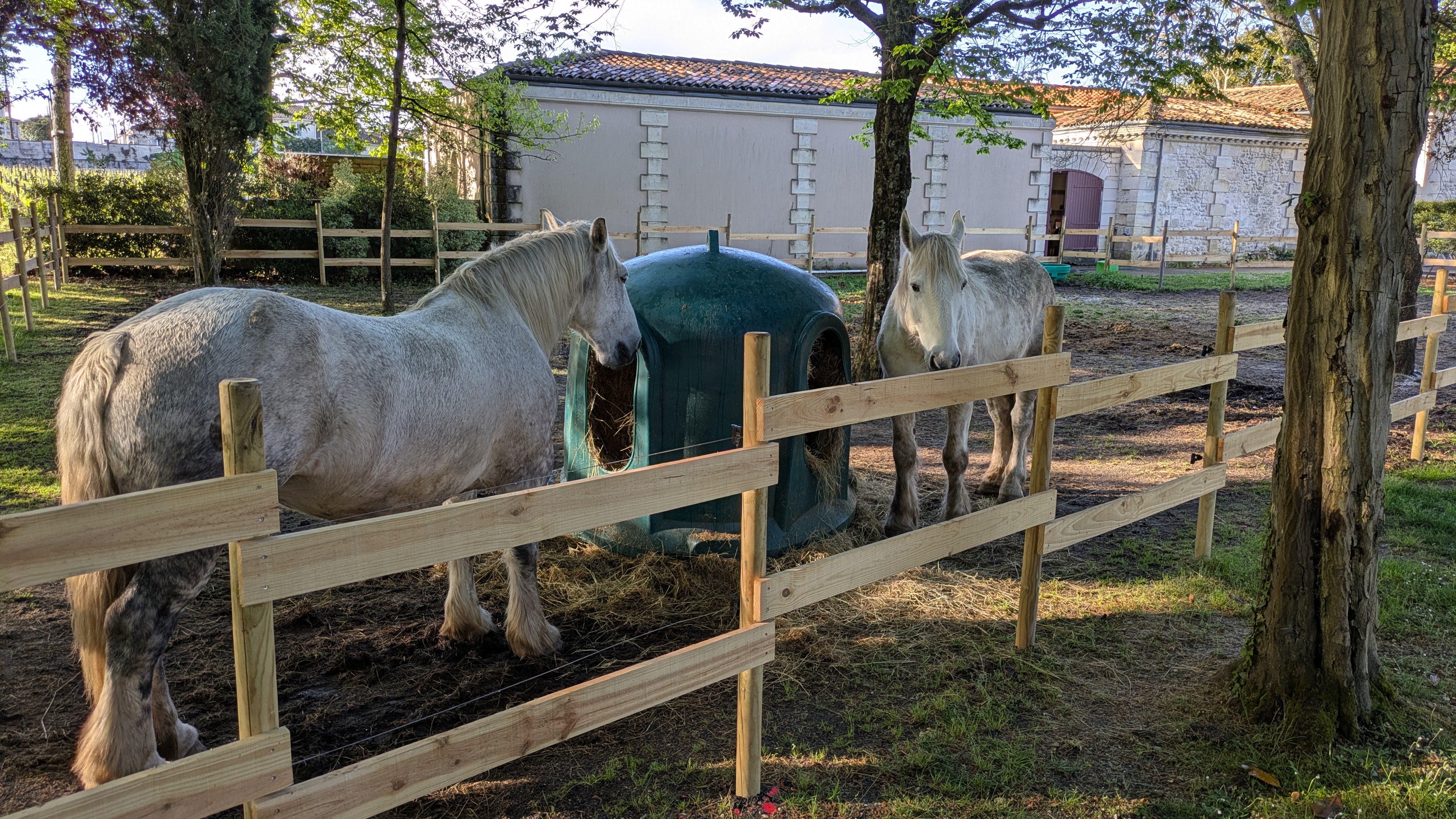 Château Les Carmes Haut-Brion Pessac-Léognan 2022 - Image 7